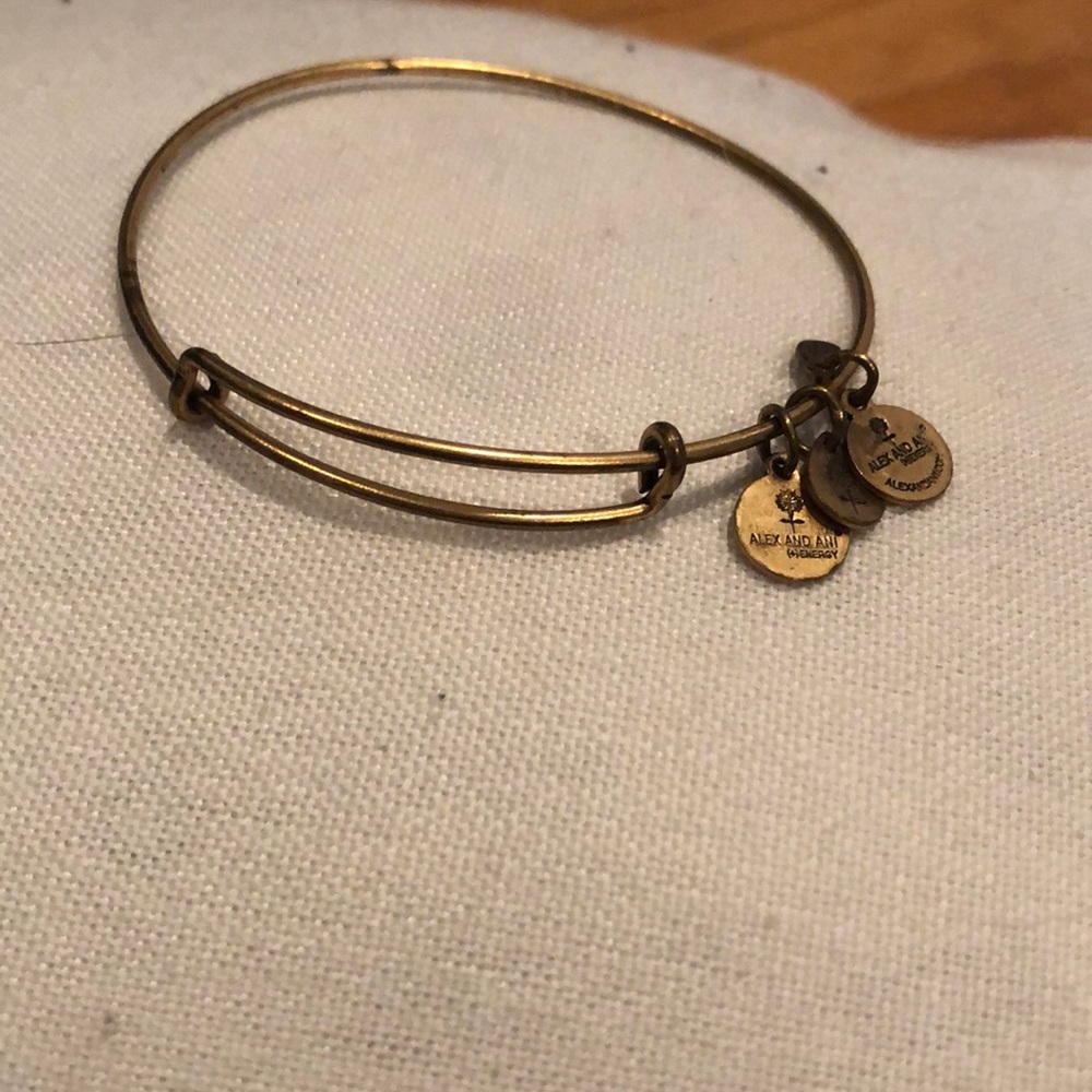 Simple gold Alex and ani charm bangle bracelet